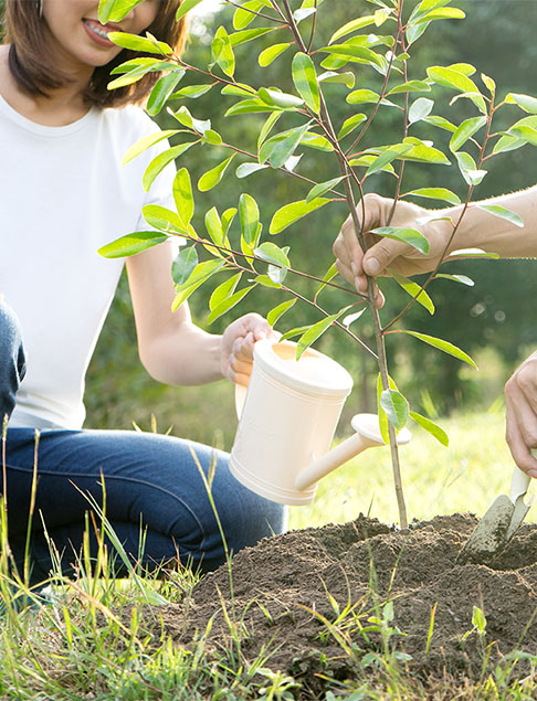 Our Environmental, Social & Governance (ESG) Strategy