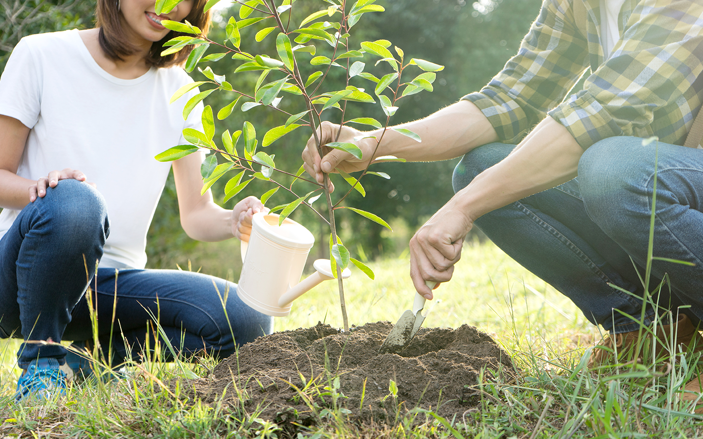 O Ciclo da Sustentabilidade