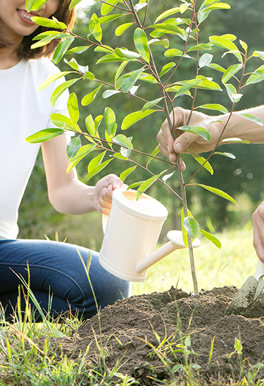 O Ciclo da Sustentabilidade