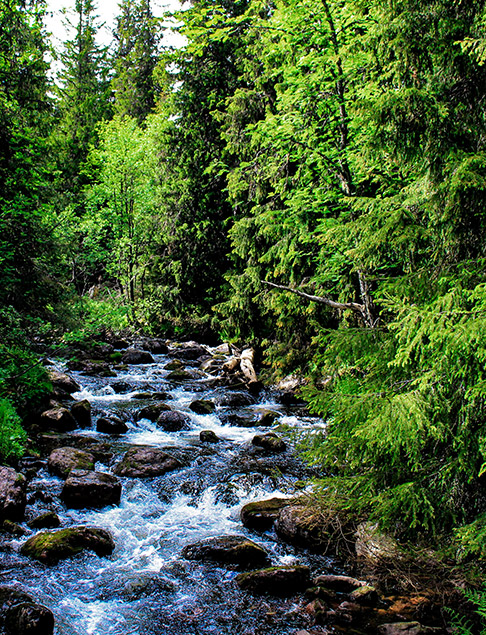Gestion de l’eau