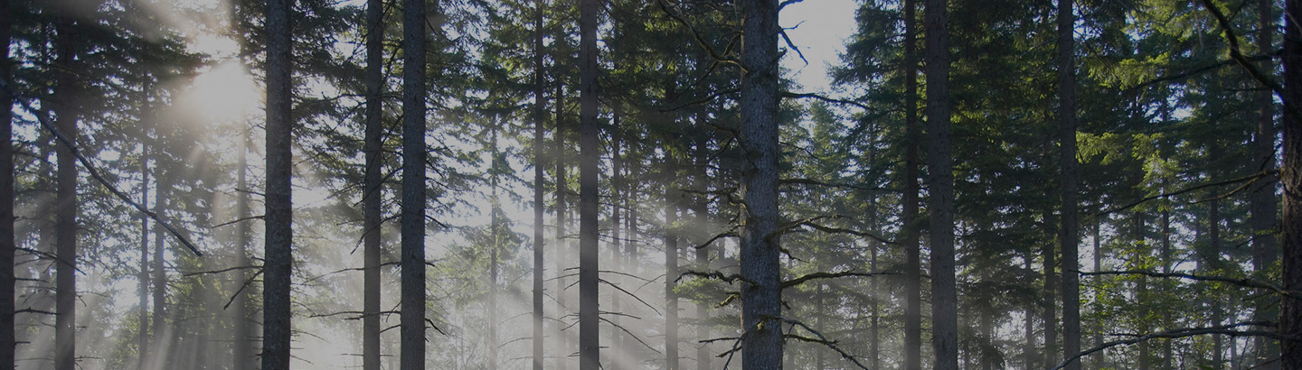 Sustainability Policies